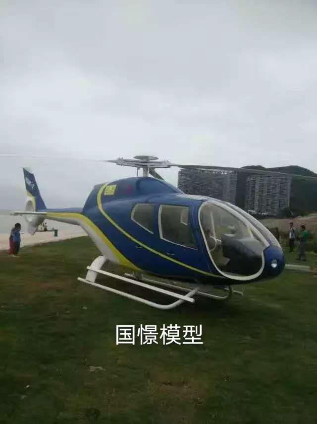 呼图壁县飞机模型