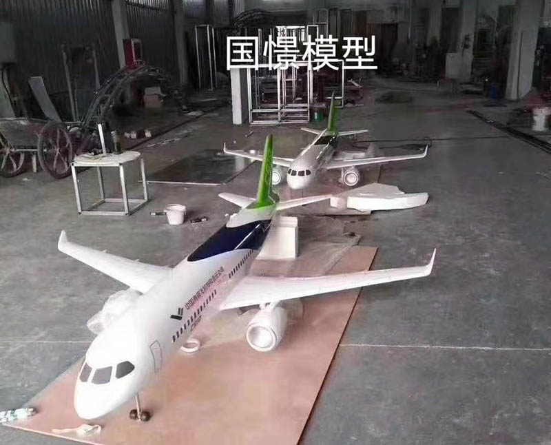 呼图壁县飞机模型